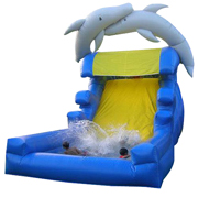 inflatable dolphin slide